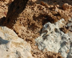 Calcareous soils