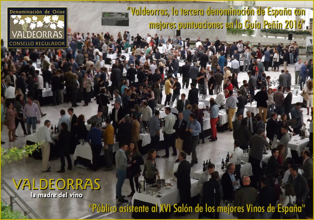 Público asistente al XVI Salón de los mejores Vinos de España en Madrid